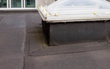 disadvantages of Eskholme flat roofs