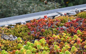the cost of Eskholme green roof installation